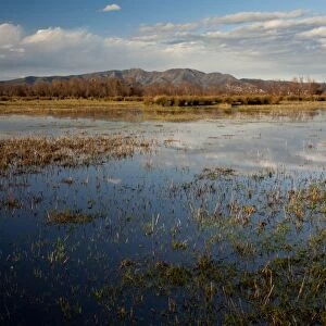 View of extensive marshland (marismas) habitat, Aiguamolls del Emporda Natural Park, Catalonia, Spain, March