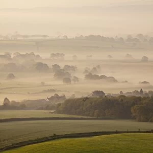 View of farmland with hedgerows and fields in mist at sunrise, Raddon Hill Farm, Raddon Hills, Devon, England, May