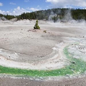 View of hotspring outlet coloured with thermophilic bacteria, Pinwheel Geyser, Porcelain Basin, Norris Geyser Basin