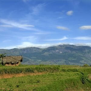 View of hut in farmland and distant mountain range, Kanthalloor, Western Ghats, Kerala, India