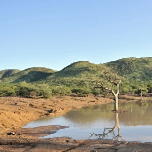 View of waterhole and lowveld habitat, Pilanesberg N. P. North West Province, South Africa
