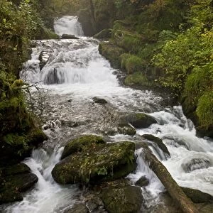 Waterfall, cascades and rapids on river flowing through woodland habitat, Farley Water (Hoar Oak Water)