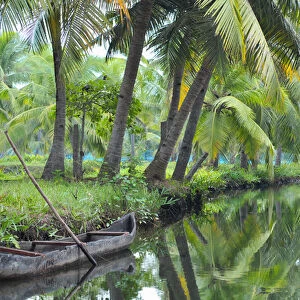 Asia, India, Kerala (Backwaters). A dugout canoe tied up alongside a Kerala Backwaters