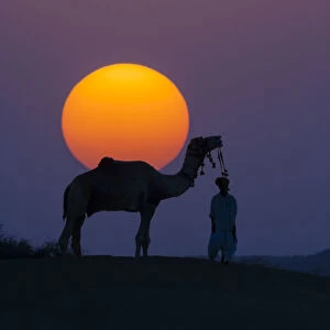 Camel and person at sunset, Thar Desert, Rajasthan, India