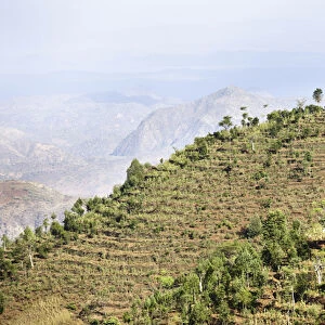 Dry farming on terraces in the steep and mountainous territory of the Konso, Rift valley