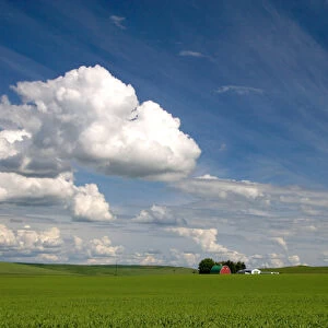 Eastern washington pea farm with rolling hills and clouds