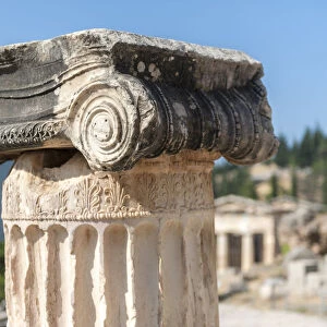 Detail of Ionic column, Delphi, Greece, Europe