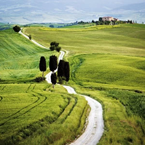Italy, Tuscany, Val d Orcia. Road to Terrapile farmhouse