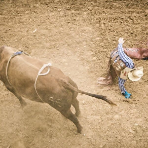 Taos, New Mexico, USA. Small town western rodeo. Bull riding competition