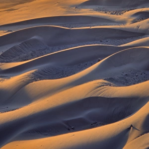 USA, Oregon, Cape Sebastian. Close-up of sand dunes