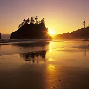 WA, Olympic NP, Second Beach at sunset