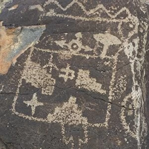 Petroglyphs near Albuquerque, New Mexico