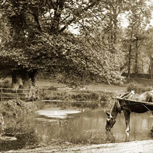Postman with horse-drawn cart, Findon, near Worthing