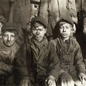 Breaker boys working in #9 Breaker at the Hughestown Borough, Pennsylvania Coal Company, Pittston, Pennsylvania. Photograph by Lewis Hine, January 1911