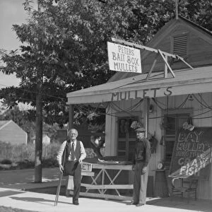 FLORIDA: BAIT SHOP, 1938. Bait shop in Key West, Florida. Photograph by Arthur Rothstein