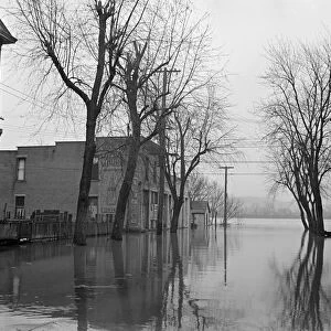 KENTUCKY: FLOOD, 1936. Flooded streets in Ashland, Kentucky, after the flood of the Ohio River