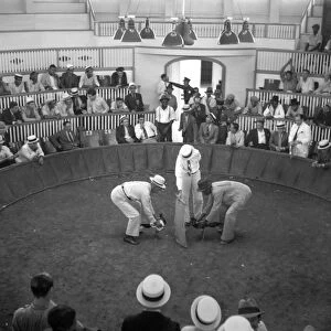 PUERTO RICO: COCKFIGHT, 1937. A cockfight in Puerto Rico. Photograph by Edwin Rosskam
