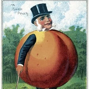 TRADE CARD, c1887. A swell peach. Trade card published by J. H. Bufford, c1887