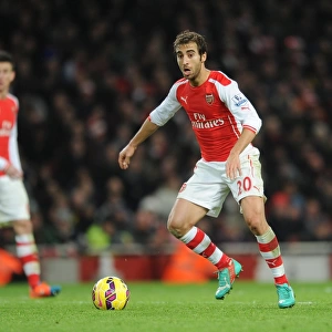 Mathieu Flamini (Arsenal). Arsenal 1: 0 Southampton. Barclays Premier League. Emirates Stadium