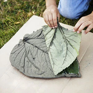 Boy removing rhubarb leaf from imprint on modelling clay