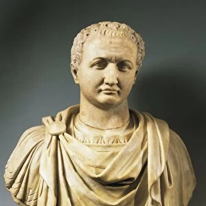 Bust of Emperor Titus (Titus Flavius Vespasianus, 39 - 81 A. D. ), Flavian dynasty, imperial age, marble