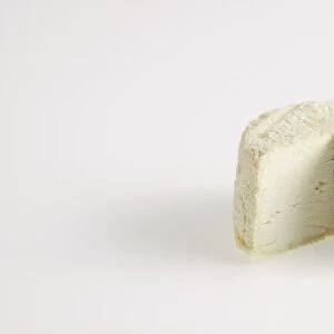 Drum of French Morvan goats cheese