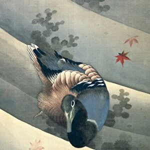 Duck Swimming in Water, 1847. Ink and colours on silk. Katsushika Hokusai (1770-1849)