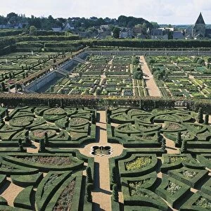 France, Centre, Loire Valley, Gardens at Villandry Castle, gardens