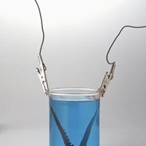 Glass beaker containing copper strips connected to electrodes in copper sulphate solution (copper purification)