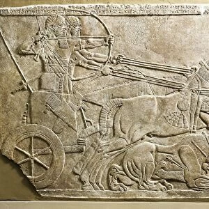 Gypsum relief depicting king Ashurnasirpal II on chariot hunting lion, from Nimrud, Calah, Iraq