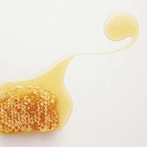 honey honeycomb melting