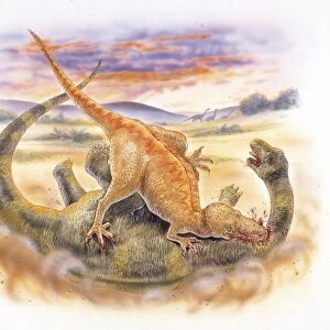 Illustration of Megalosaurus killing prey