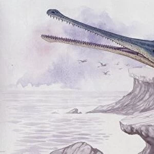 Illustration representing Teleosaurus