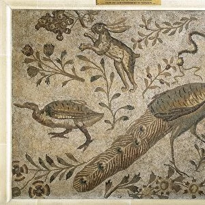 Mosaic depicting flower garden with peacock, rabbit and duck. From the House of the Aviary at Carthage, Tunisia
