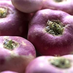 Purple baby turnips, close-up