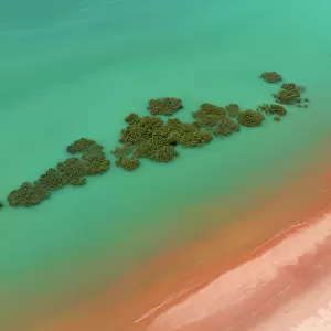 Aerial image showing mangrove trees in the Indian Ocean off Simpson Beach, Broome, Western Australia, Australia