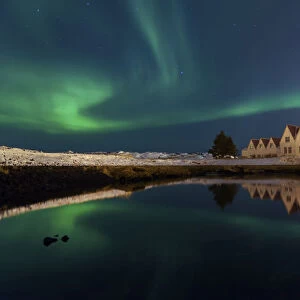 Aurora Borealis over the sky in winter