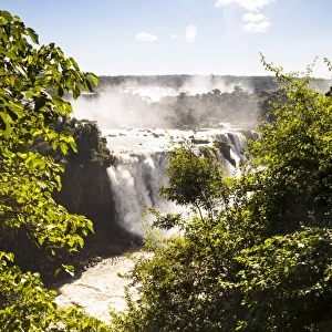 Gorgeous IguaAzu National Park on a sunny day