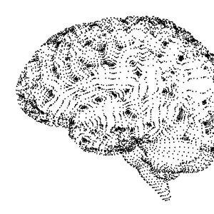 Human brain, conceptual illustration, illustration