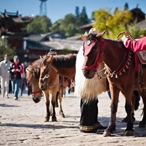 Local rider with his horse in China