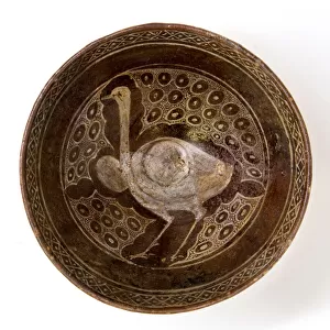 A 10th century Persian ceramic bowl depicting an ostrich (ceramic)