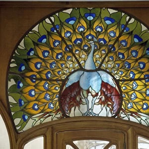 Art Nouveau: stained glass representing a peacock. Realised by Joseph Janin (1851-1910). Hotel de Bergeret. 1904 Nancy