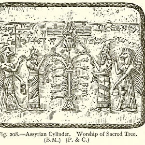 Assyrian Cylinder. Worship of Sacred Tree (engraving)