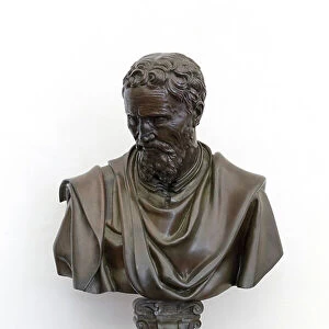 Bust of Michelangelo, 1564 circa (bronze)