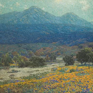 California Poppy Field, c. 1926 (oil on canvas)