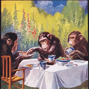 A Chimpanzee Tea Party, illustration from The Science of Life (colour litho)
