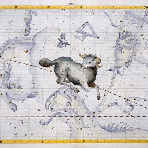 Constellation of Aries, plate 4 from Atlas Coelestis