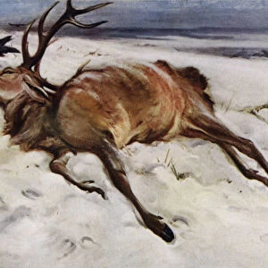 The dead stag (colour litho)