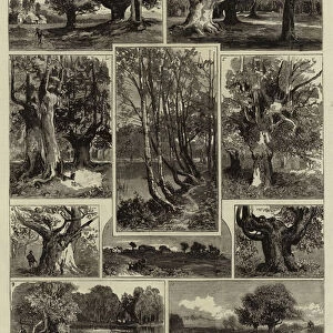 The Dedication of Burnham Beeches to the Public Use (engraving)