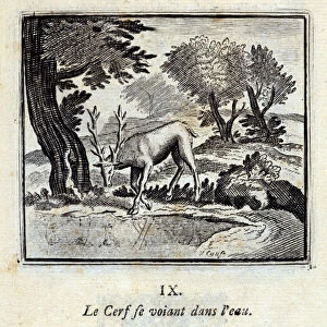 The Deer seeing himself in the water. Fables by Jean de La Fontaine (1621-95)
